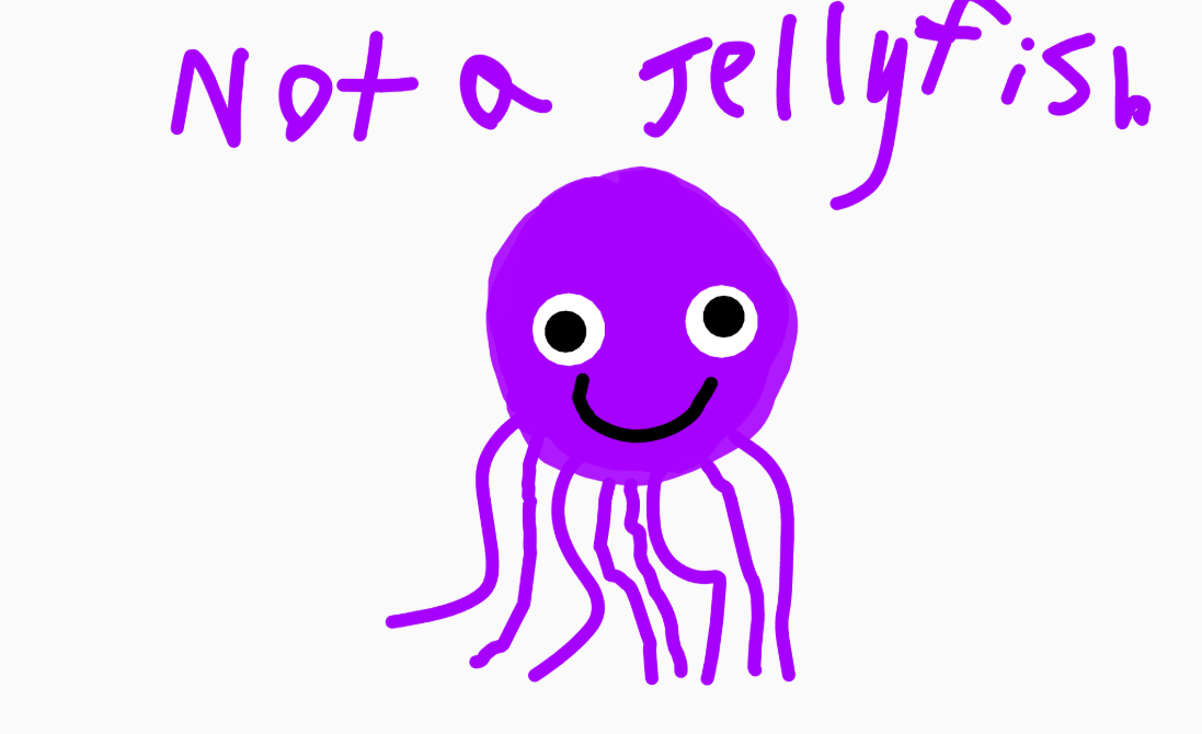 IT IS NOT A JELLYFISH!!!!!
